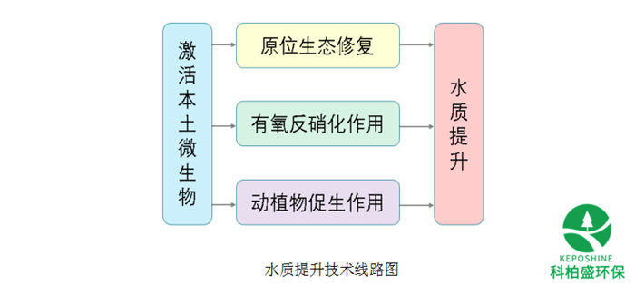 亚洲国产精品成人综合久久久