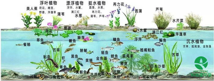 亚洲国产精品成人综合久久久