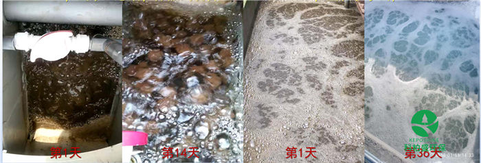 亚洲国产精品成人综合久久久