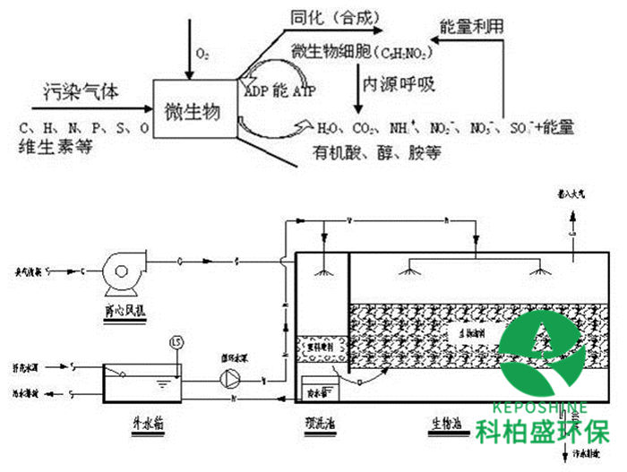 亚洲国产精品成人综合久久久