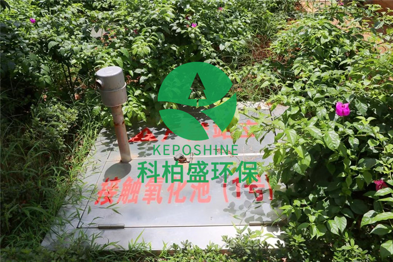 亚洲国产精品成人综合久久久